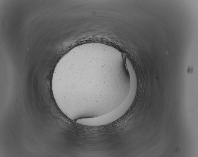 X0000091981489200710041059