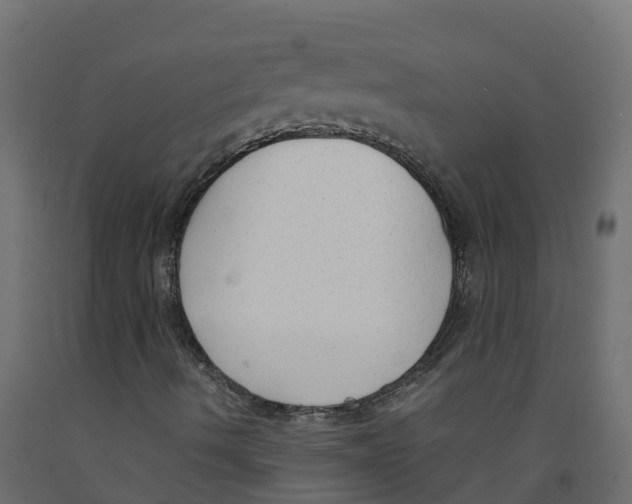 X0000091981490200710041059