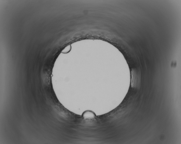 X0000091981491200710041059