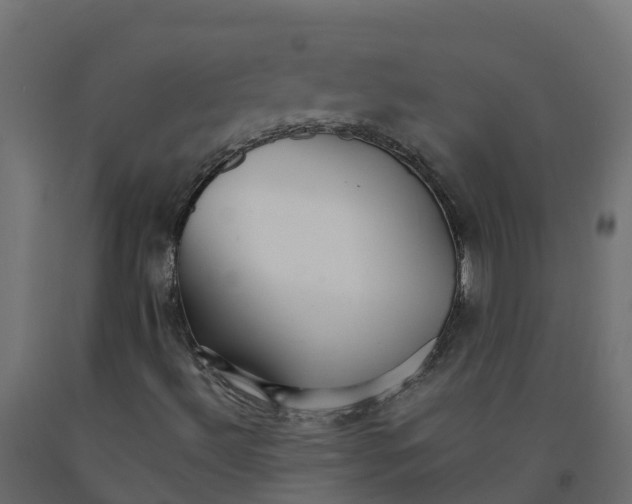 X0000091981492200710041059