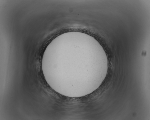 X0000091981493200710041059