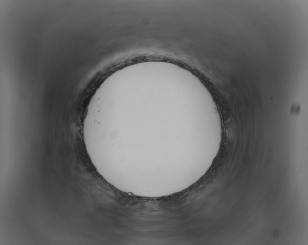 X0000091981495200710041059