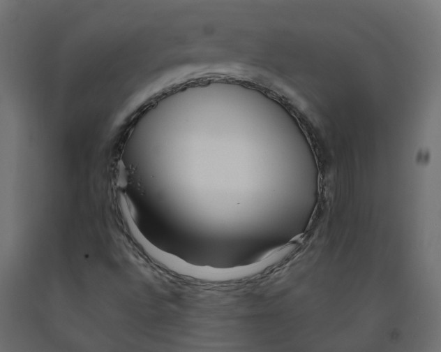 X0000091981496200710041059
