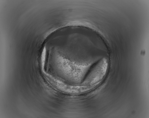 X0000091981497200710041059