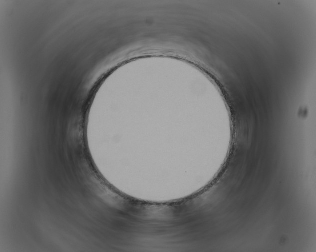 X0000091981498200710041059