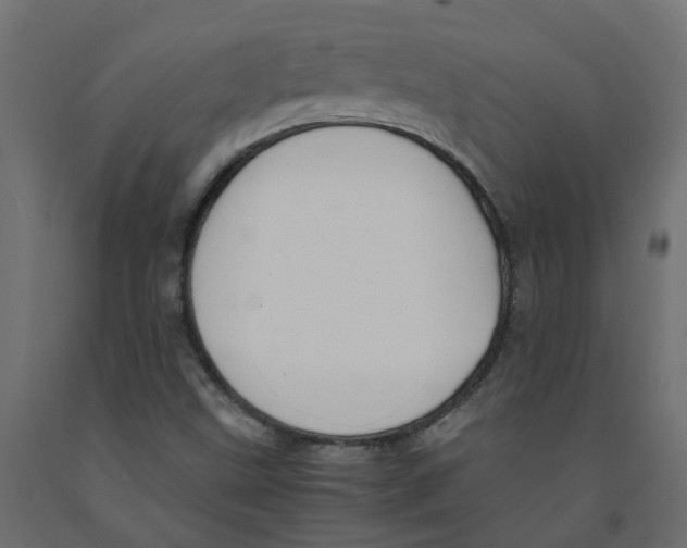 X0000091981499200710041059