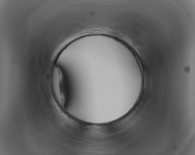X0000091981500200710041059
