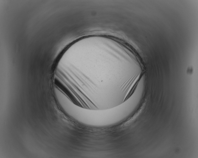 X0000091981501200710041059
