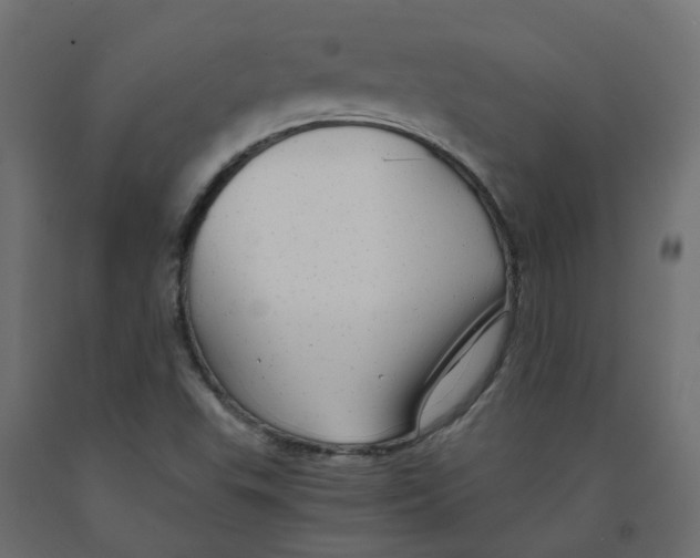 X0000091981503200710041059