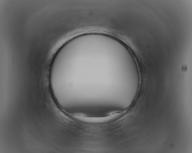 X0000091981504200710041059