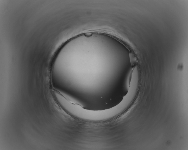 X0000091981506200710041059