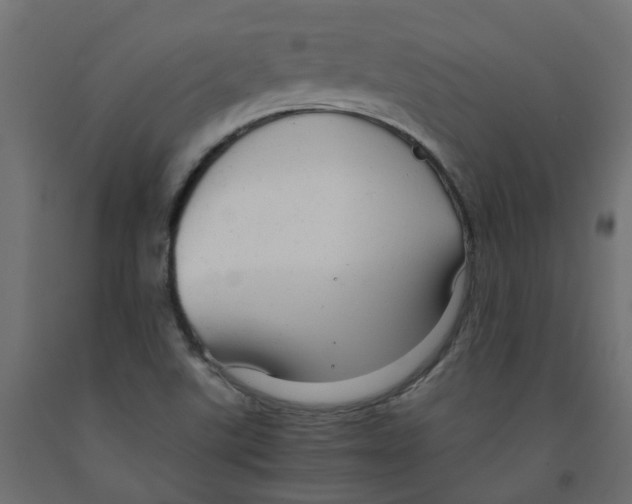 X0000091981507200710041059