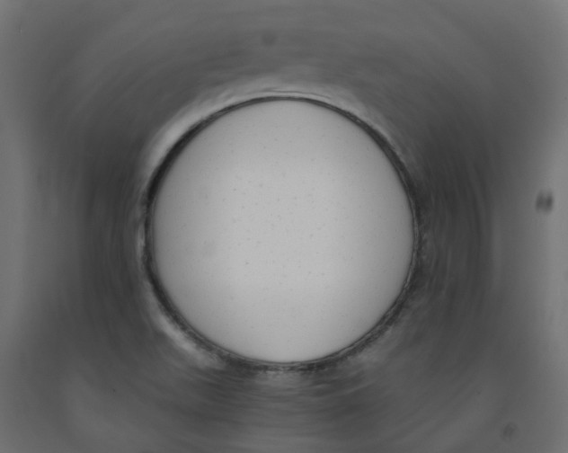 X0000091981511200710041059