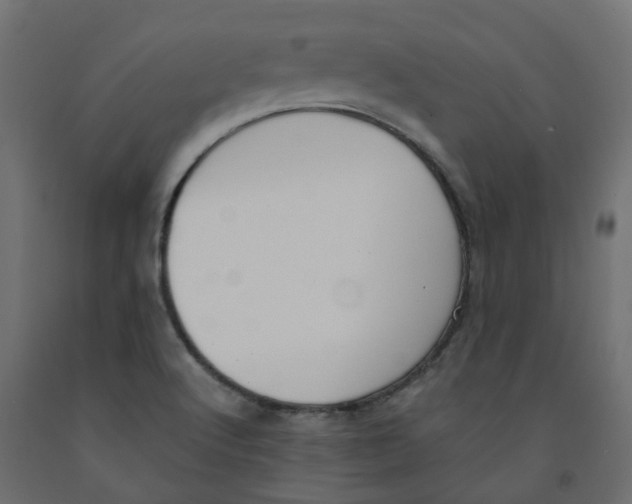 X0000091981512200710041059