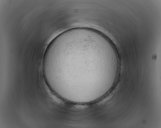 X0000091981513200710041059