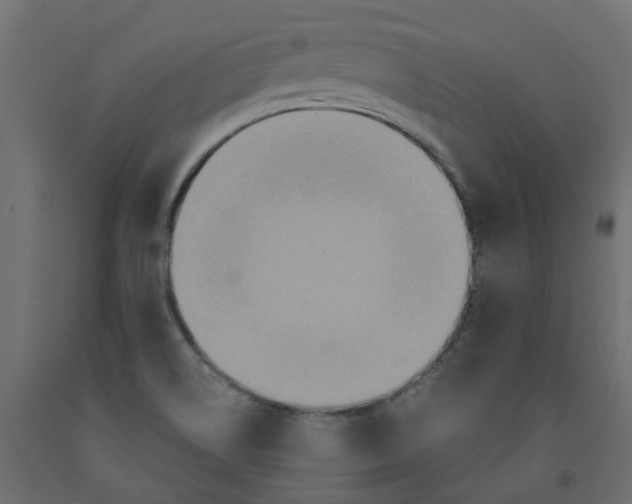 X0000091981514200710041059