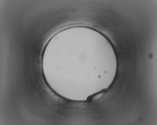X0000091981516200710041059