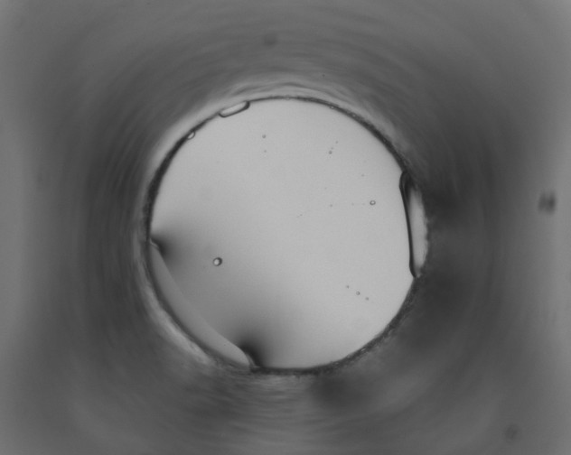 X0000091981518200710041059