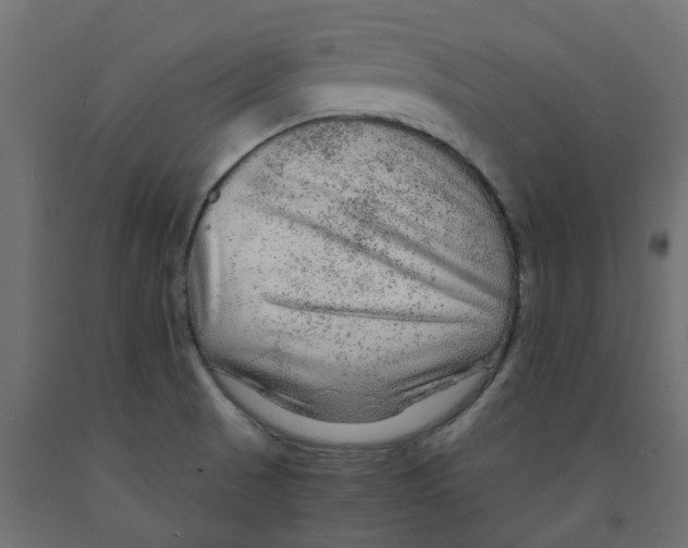 X0000091981521200710041059