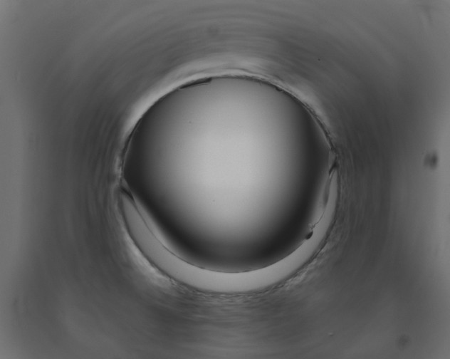 X0000091981524200710041059