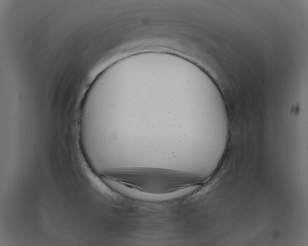 X0000091981526200710041059
