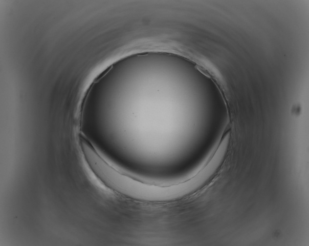 X0000091981528200710041059