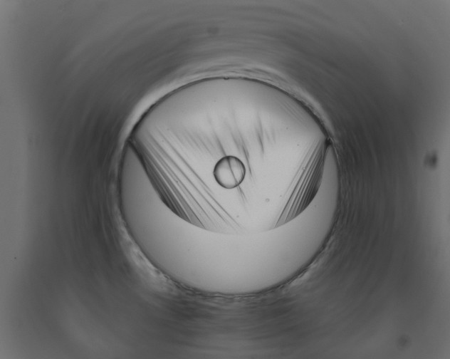 X0000091981530200710041059