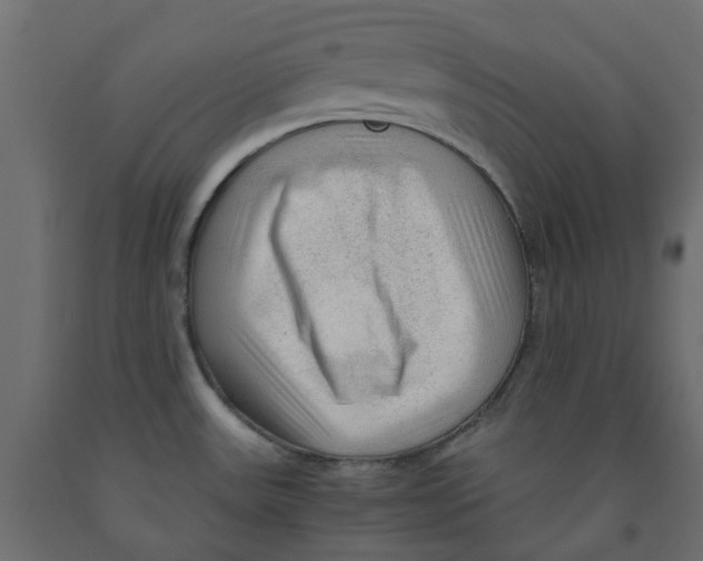 X0000091981531200710041059