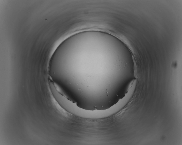 X0000091981532200710041059