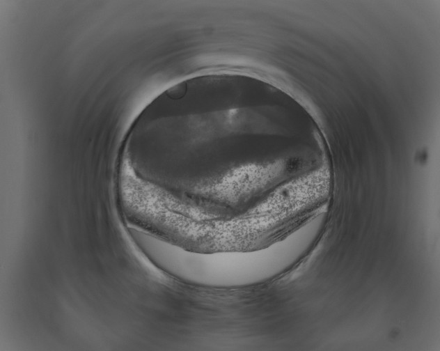 X0000091981533200710041059