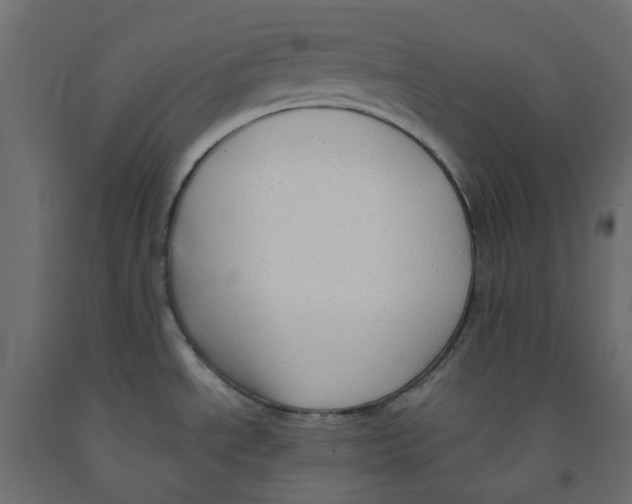 X0000091981534200710041059