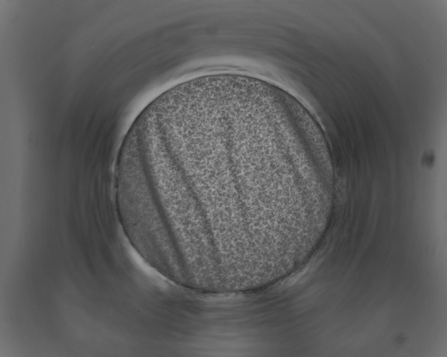 X0000091981535200710041059