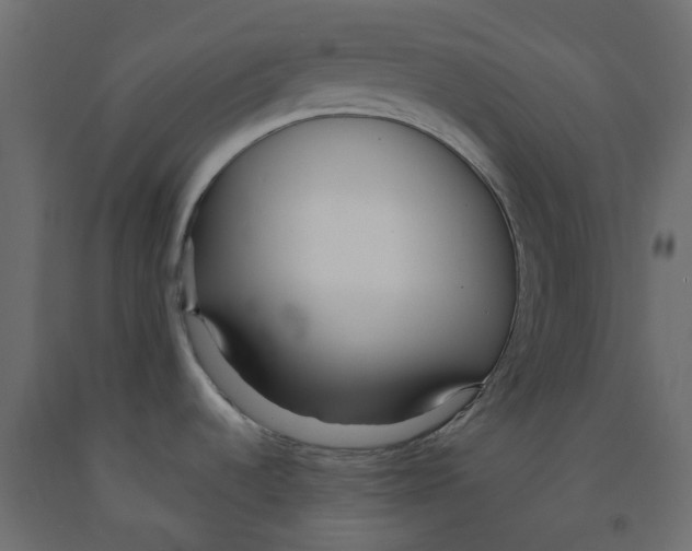 X0000091981536200710041059