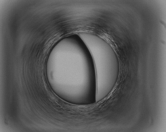 X0000091990001200709061230