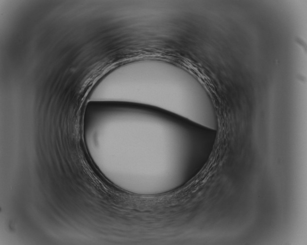X0000091990002200709061230