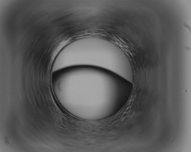 X0000091990003200709061230