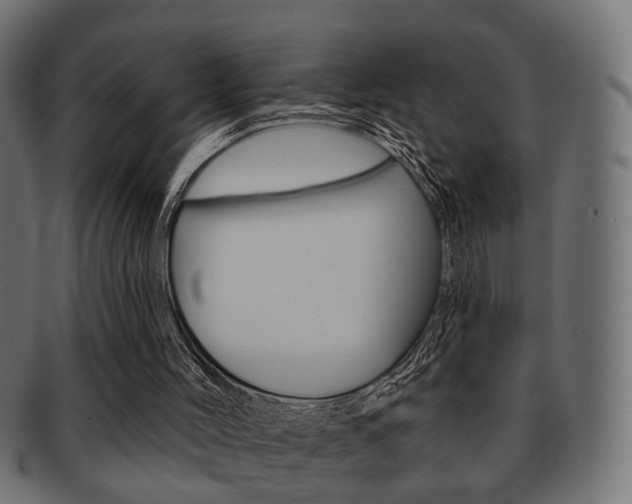 X0000091990004200709061230