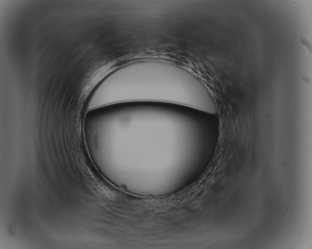 X0000091990005200709061230