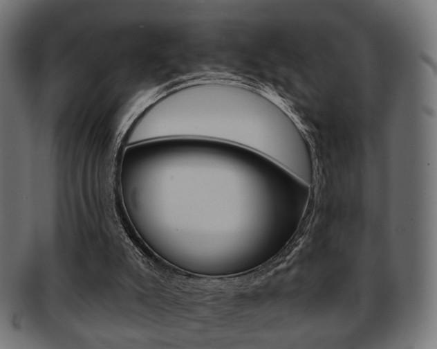 X0000091990007200709061230