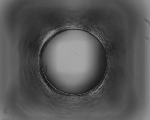 X0000091990008200709061230