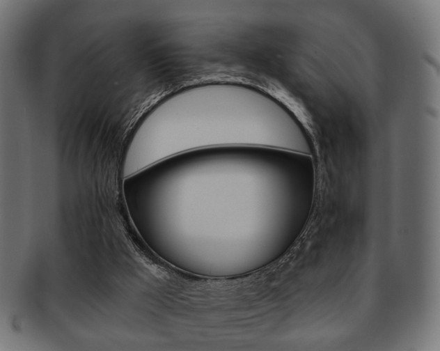 X0000091990009200709061230
