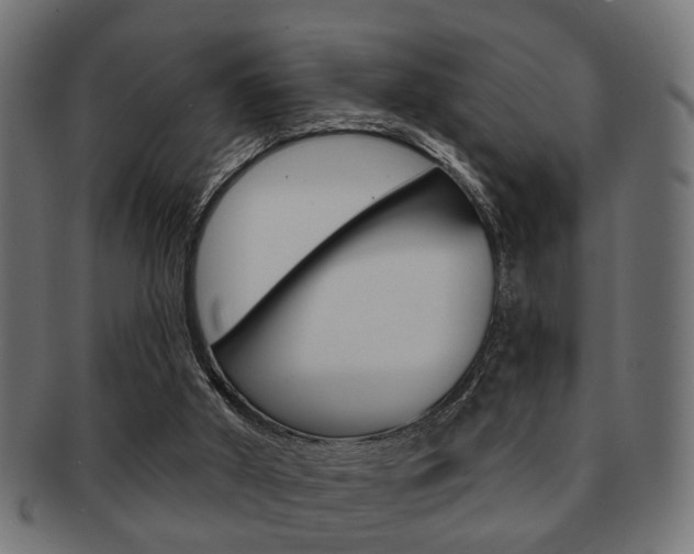 X0000091990010200709061230
