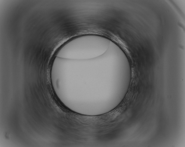 X0000091990012200709061230