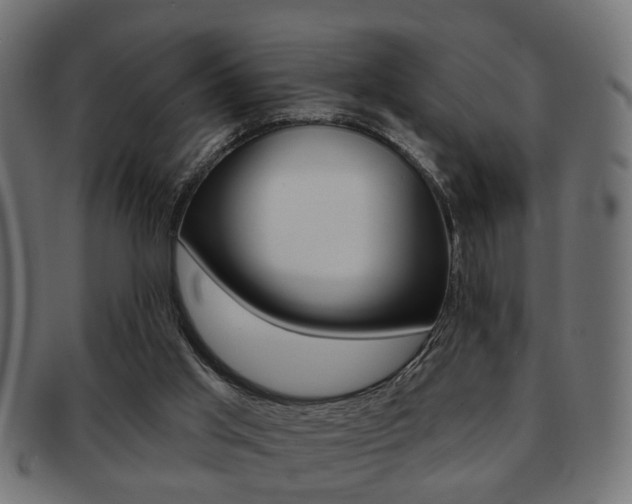 X0000091990013200709061230