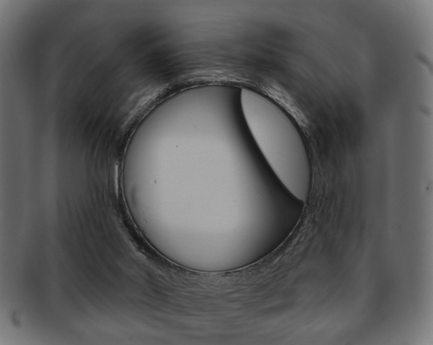 X0000091990014200709061230
