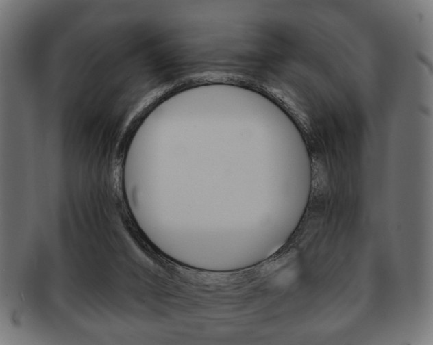 X0000091990016200709061230