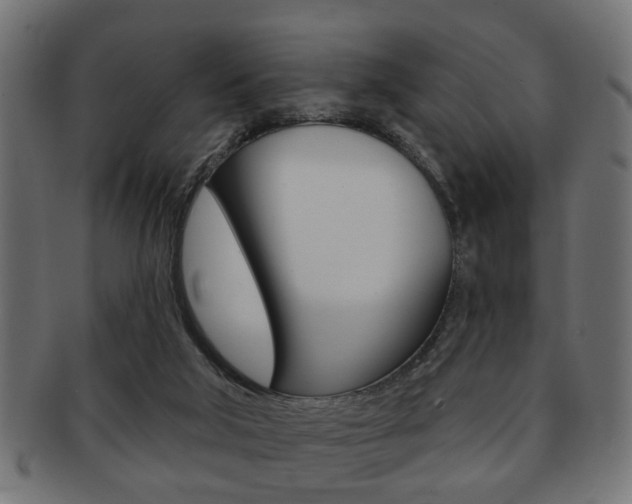 X0000091990018200709061229