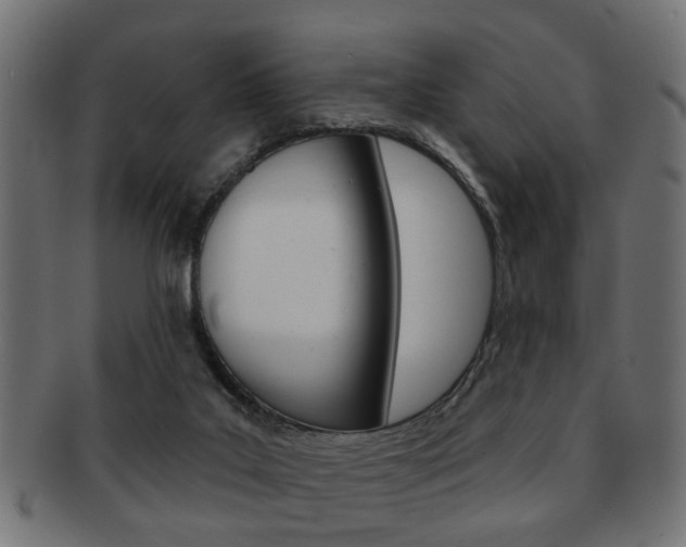 X0000091990019200709061229