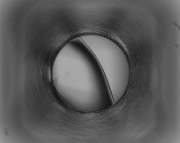 X0000091990020200709061229