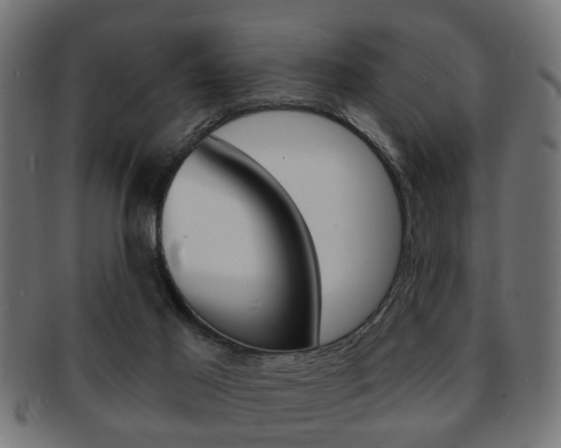 X0000091990021200709061229